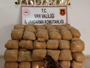 Van’da 21 Çuvalda 700 Kilogram Esrar Ele Geçirildi