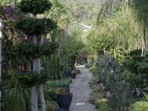 "İ̇nşaat Projeleri Peyzaj İle Değer Kazanıyor"