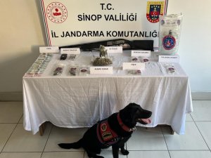 Sinop’ta Uyuşturucu Operasyonunda 1 Kişi Yakalandı