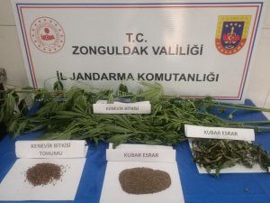 Jandarmadan Uyuşturucu Operasyonu