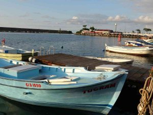 Yeni Av Sezon Öncesinde Palamudun Görüntü Vermesi Balıkçıları Umutlandırdı