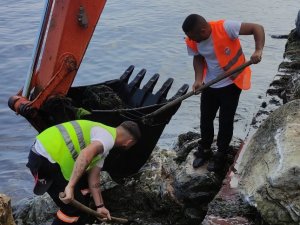 Yalova Belediyesi’nin Yosunla Mücadelesi Devam Ediyor