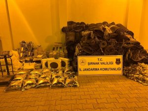 Şırnak’ta Kaçakçılık Ve Asayiş Operasyonu: 24 Gözaltı
