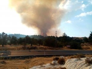 İ̇zmir’de Ziraat Arazisinde Yangın