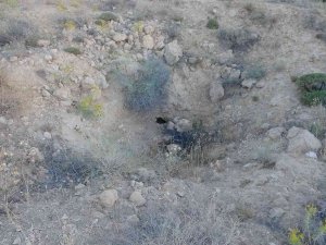 ‘Altında Altın Var’ Söylentisi Höyüğü Savaş Alına Çevirdi