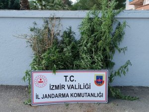 İ̇zmir’de Uyuşturucu Baskınları: 27 Şüpheli Yakalandı
