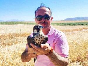 Yol Kenarında Yaralı Buldukları Doğana Yardım Eli Uzattılar