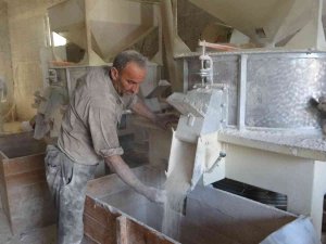 Muş’ta Hasadı Yapılan Buğday Değirmenlerde Öğütülüyor