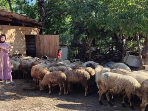Sinop’ta Uzman Eller Projesi Başarılı Sonuçlandı