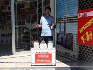 Fiyatı Altınla Yarışıyor Adeta Şifa Deposu