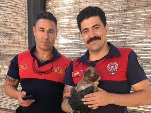 Kuyuya Düşen Yavru Köpeğin İmdadına İtfaiye Ekipleri Yetişti
