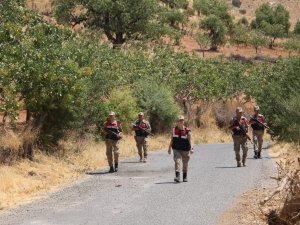 Siirt’te Jandarma, Fıstık Hırsızlığına Karşı Bağ Ve Bahçelerde Kuş Uçurtmuyor