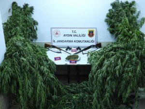 Nazilli’de Uyuşturucu Operasyonu