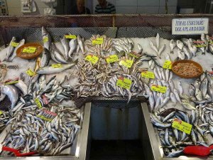 Balıkta Bolluk Yok, Çeşitlilik Çok