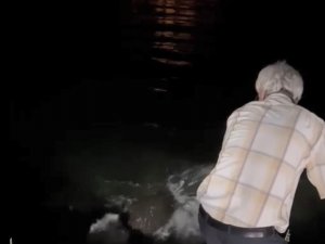 Hem Kaçak Avlandılar Hem De Deniz Kaplumbağasına Zarar Verdiler
