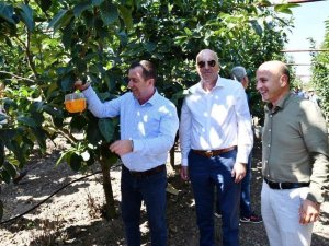 Studenicani Ve Tuzi Heyetleri, Altınova’ya Hayran Kaldı