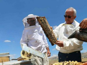 Tab Başkanı Şahin, Gezgin Arıcıları Ziyaret Ediyor