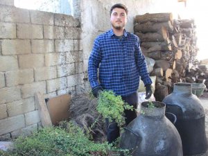 Pandemi Kekiğin Kıymetini Arttırdı