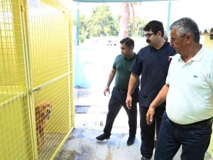 Başkan Topaloğlu: “Tüm Canlıları Korumaya Devam Edeceğiz”