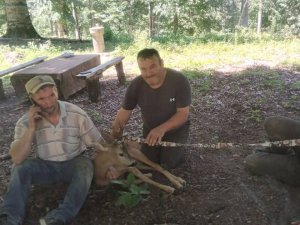 Yaralı Ceylana Su Verip, Sevdiler