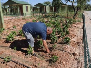 Sıcaktan Bunalanlar Hobi Bahçeleri Ve Belediye Havuzlarına Koştu