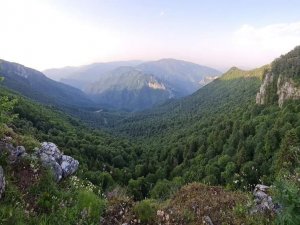 Zonguldak, Bartın Ve Karabük’te Ormanlık Alanlara Giriş Çıkışlar Sınırlandırıldı