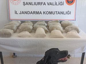Şanlıurfa’da 20 Kilogram Uyuşturucu Ele Geçirildi: 2 Gözaltı