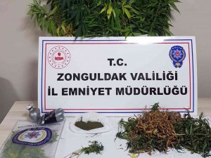 Uyuşturucu Operasyonunda 118 Kök Kenevir Ele Geçirildi