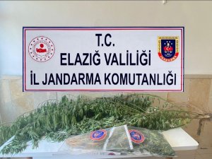 Elazığ’da Varil İçerisine Zulalanmış Kenevir Ele Geçirildi