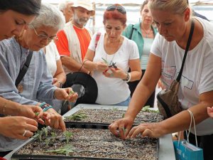 Tıbbi Aromatik Bitkiler Toprakla Buluştu