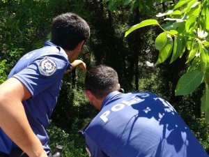 Bursa’da Gezinmek İçin Çıktığı Yoldan 30 Metre Aşağıya Düştü