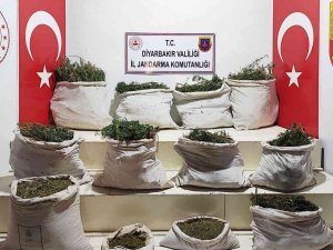 Diyarbakır’da "Eren Abluka" Operasyonunda 3 Milyon Kök Hint Keneviri Ele Geçirildi