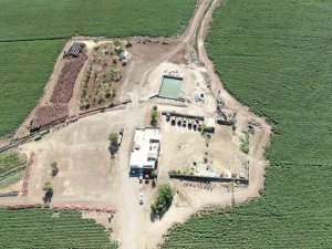 Çölün Ortasında Karadeniz’i Aratmayan Görüntü