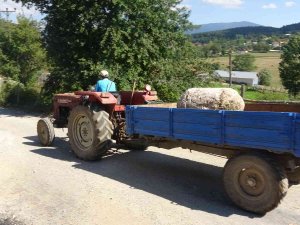 250 Yıllık Sütunlar Kayıptı, Ünlü Ailenin Villasında Bulundu