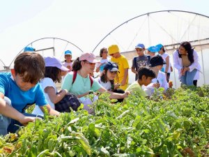 Tarım Ve Doğa Günü Etkinliğini Çocuklar Meraklı Gözlerle Takip Etti