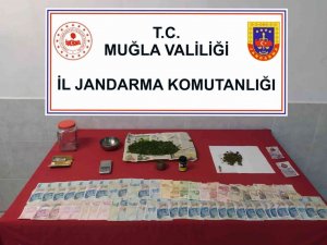 Jandarma’dan Uyuşturucu Operasyonu