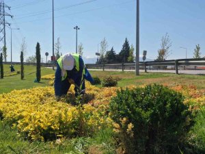 Bursa’nın Yeşili Estetikle Buluşuyor