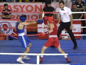 Türkiye Ferdi Boks Şampiyonası Sona Erdi