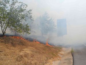 D-100 Karayolunda Anız Yangını Sürücülere Zor Anlar Yaşattı