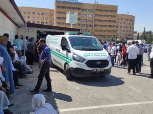 Şanlıurfa’da Elektrik Akımına Kapılan Çiftçi Öldü
