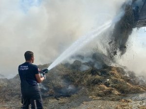 Bursa’da Hayvan Çiftliğinde Yangın