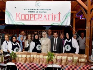 Altınovalı Kadınlar, Ekonomiye Katılıyor