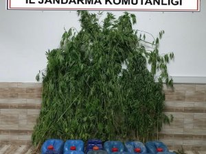 Sakarya’da 300 Litre Kaçak Akaryakıt Ele Geçirildi