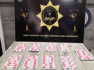 Sinop’un Bir Aylık Asayiş Raporu