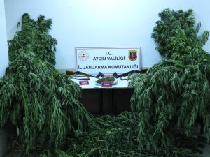 Aydın’da 5 Şahıs Uyuşturucudan Tutuklandı