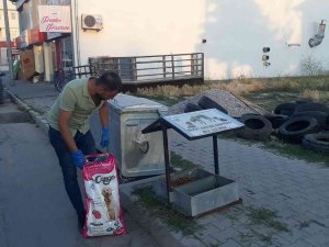 Tomarza’da Sokak Hayvanlarına Yem Bırakıldı