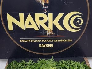 Kayseri’de 1 Ayda 143 Kişiye Uyuşturucudan İşlem Yapıldı