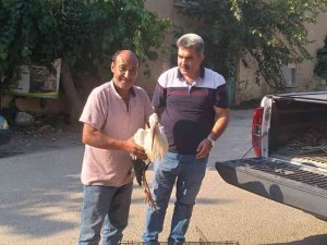 Yol Kenarında Yaralı Leylek Bulundu