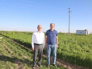 Başkan Altay: “Konya Her Manada Üreten Bir Şehir”