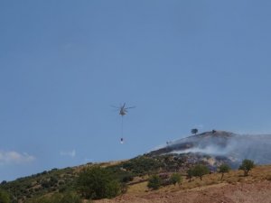 Ayvacık’ta Çıkan Orman Yangını Kontrol Altında